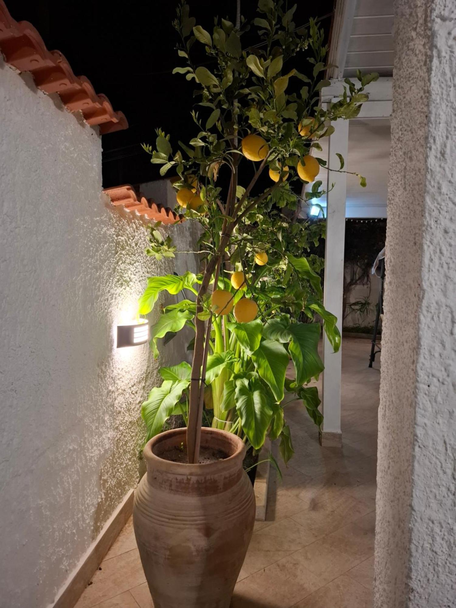 Toluammare Sicily Βίλα Santa Maria Del Focallo Εξωτερικό φωτογραφία